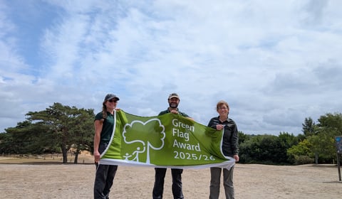 Waverley parks shine with Green Flag awards