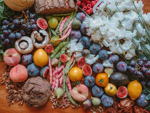 Food waste collections to start in East Hampshire next year