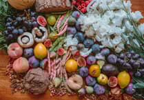 Food waste collections to start in East Hampshire next year