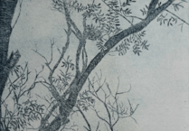 Ancient woodlands spotlighted in exhibition at Alton's Allen Gallery