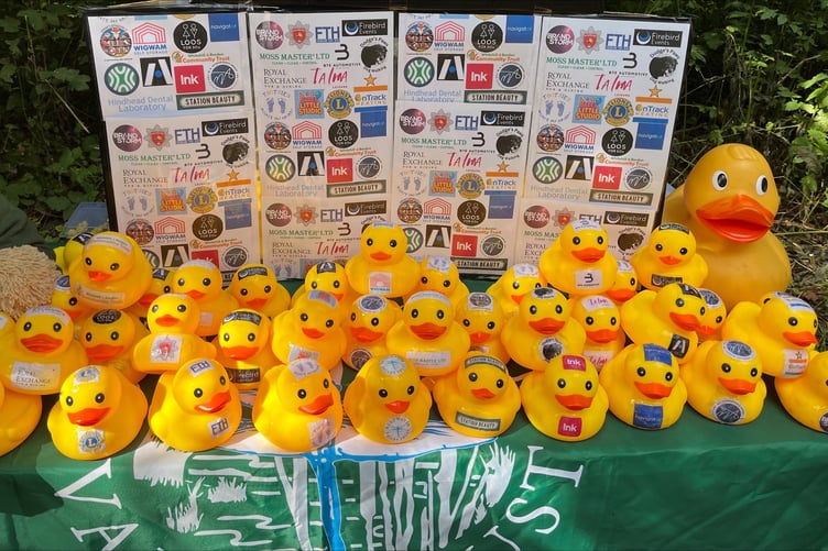The business ducks for the DVT duck race 2025