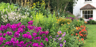 Perennial fundraiser to open garden for last time