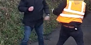 Ban for Shots fan from Farnham who "threw punches at stewards"