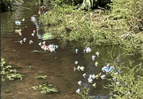 Duck race is quacking start to community centre celebrations