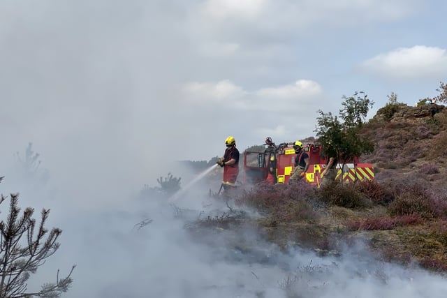 Campfire causes Churt wildfire