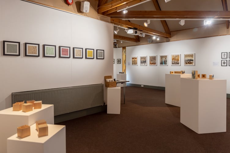 Mary Waltham and Jackie Amies are highlighting ancient woodland with an exhibition at the Allen Gallery in Alton until September 2025.