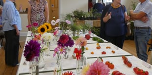 Hampshire and Surrey clubs and societies news