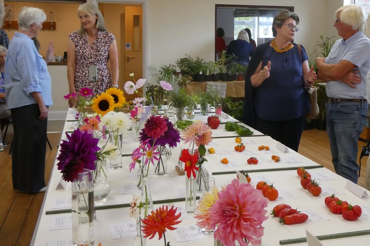Visitors view the entries at the Froxfield and Privett Garden Club Summer Show, Froxfield Village Hall, August 16th 2025.