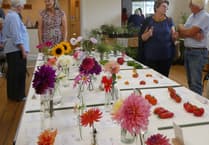 Hampshire and Surrey clubs and societies news