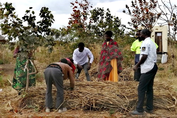 Trainees learning about compost making and mulching in Malawi.