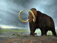 Peeps into the Past: When mammoths roamed the Farnham countryside