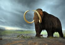 Peeps into the Past: When mammoths roamed the Farnham countryside