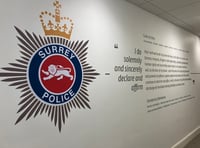 Police officer barred for pressuring ex-partner during investigation