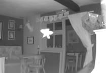 WATCH: Fairy captured on camera in Hampshire pub?