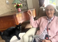 Residents are feline fine as Holybourne home marks cat day