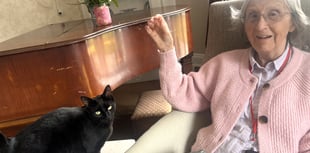 Residents are feline fine as Holybourne home marks cat day