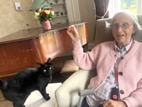 Residents are feline fine as Holybourne home marks cat day