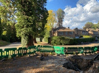 Council happy with gas main work near huge Wellingtonia trees