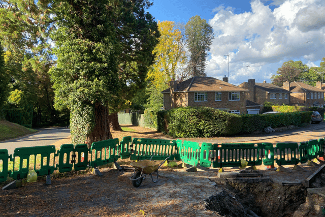 Council happy with gas main work near huge Wellingtonia trees
