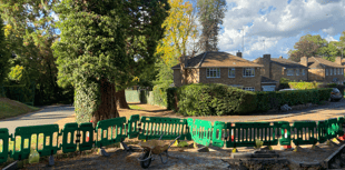 Council happy with gas main work near huge Wellingtonia trees