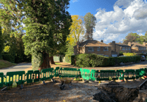 Council happy with gas main work near huge Wellingtonia trees