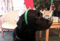 Bentley the dog brings joy to care home residents