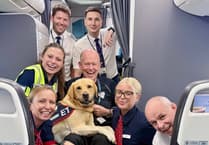 Hola Hounds for Heroes as assistance dog makes 100th flight