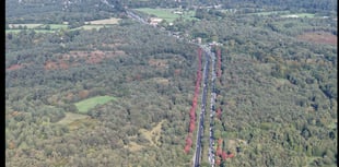 Witnesses sought as police confirm man died in A3 collision