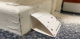 Sheltered housing residents trapped in bed bug ‘nightmare’