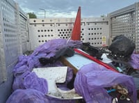Huge litter haul collected in A31 clean-up effort