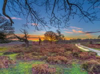 Hampshire national car park charges spark local outrage