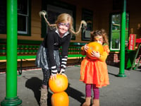 All aboard for a spellbinding Halloween adventure