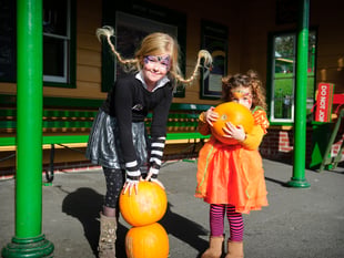 All aboard for a spellbinding Halloween adventure