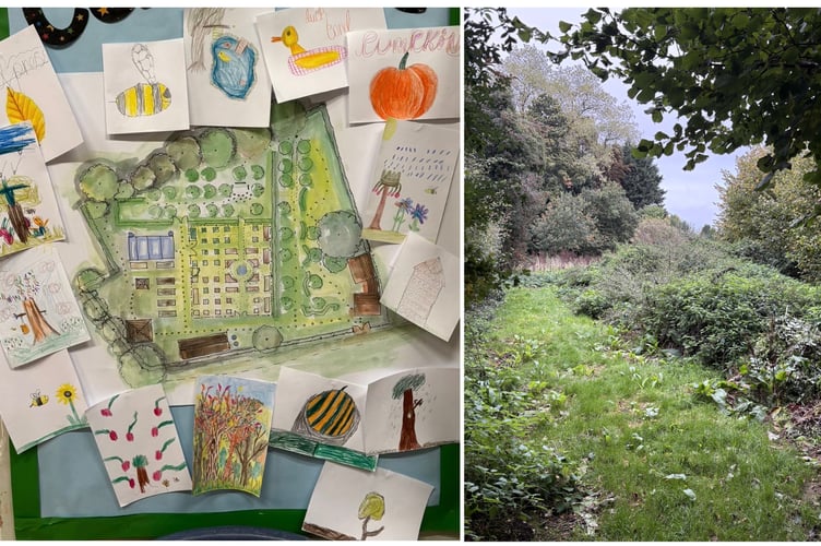 Binsted Community Garden PIC2