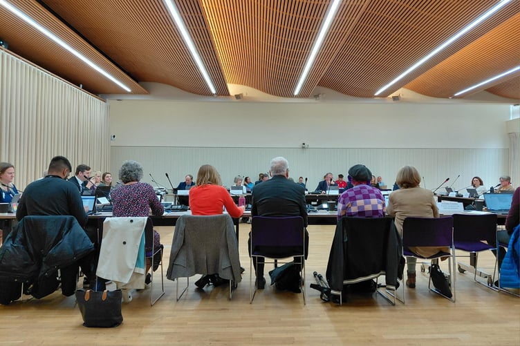 Hampshire County Council Children and Young People Select Committee. Image: LDRs