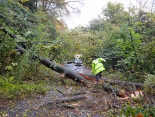 Storm Benjamin hits as tree fall blocks Stoner Hill near Petersfield