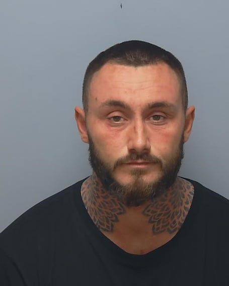 Maxwell Rowe, 31, of Lovell Gardens, Alton was jailed for 30 months.