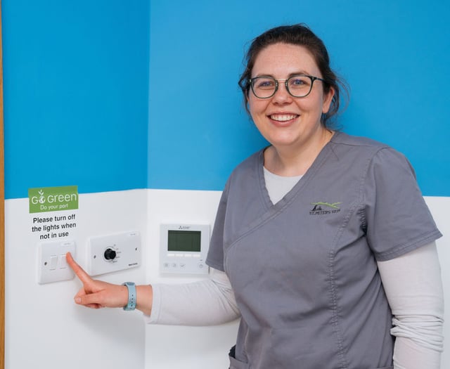 It's not tough being green as East Hampshire vets gets top eco-award