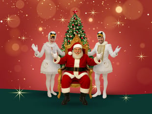 Santa ‘swans’ into Birdworld for festive family shows