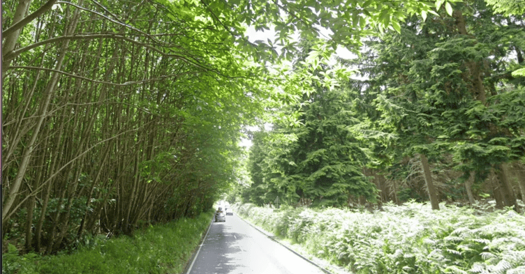 The 21-year-old Haslemere cyclist died in hospital on Saturday morning