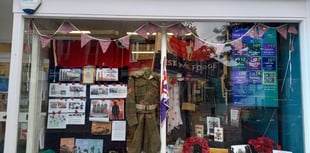 Hospice shop in Alton goes extra mile for Remembrance window display