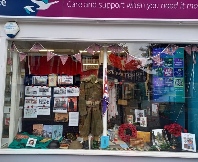 Hospice shop in Alton goes extra mile for Remembrance window display