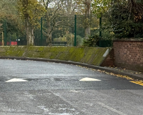 Speed hump, Lady Place car park, Alton, November 3rd 2025.