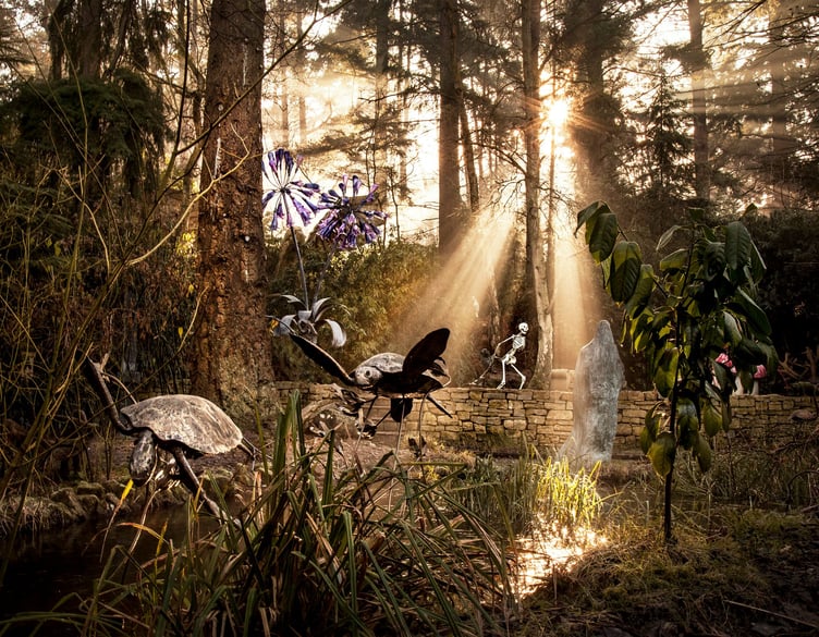 Turtles in the morning sun, The Sculpture Park, Churt, Surrey