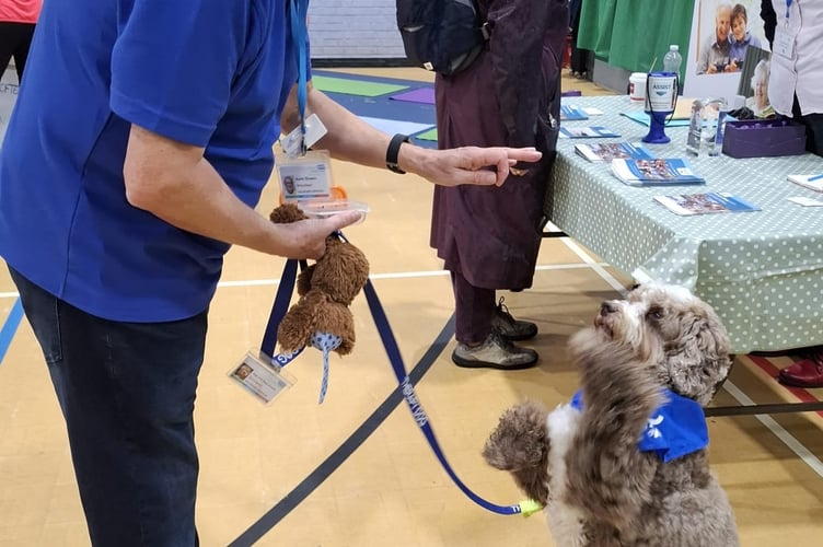 Yogi the dog at the health fair in Farnham.