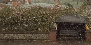 WATCH: First flurries of snow fall over Farnham