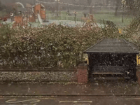 WATCH: First flurries of snow fall over Farnham
