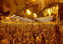 UPDATED: Dawn raid on 'significant' cannabis farm in Four Marks