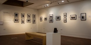 Half-price tickets this December at Petersfield Museum and Art Gallery