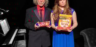 Alton Arts Festival is already looking forward to next summer